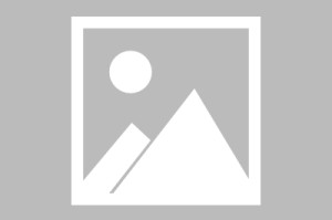 乐鱼官方网站-北青：美加墨世界杯有10人曾效力中超，国安旧将有金玟哉等3人